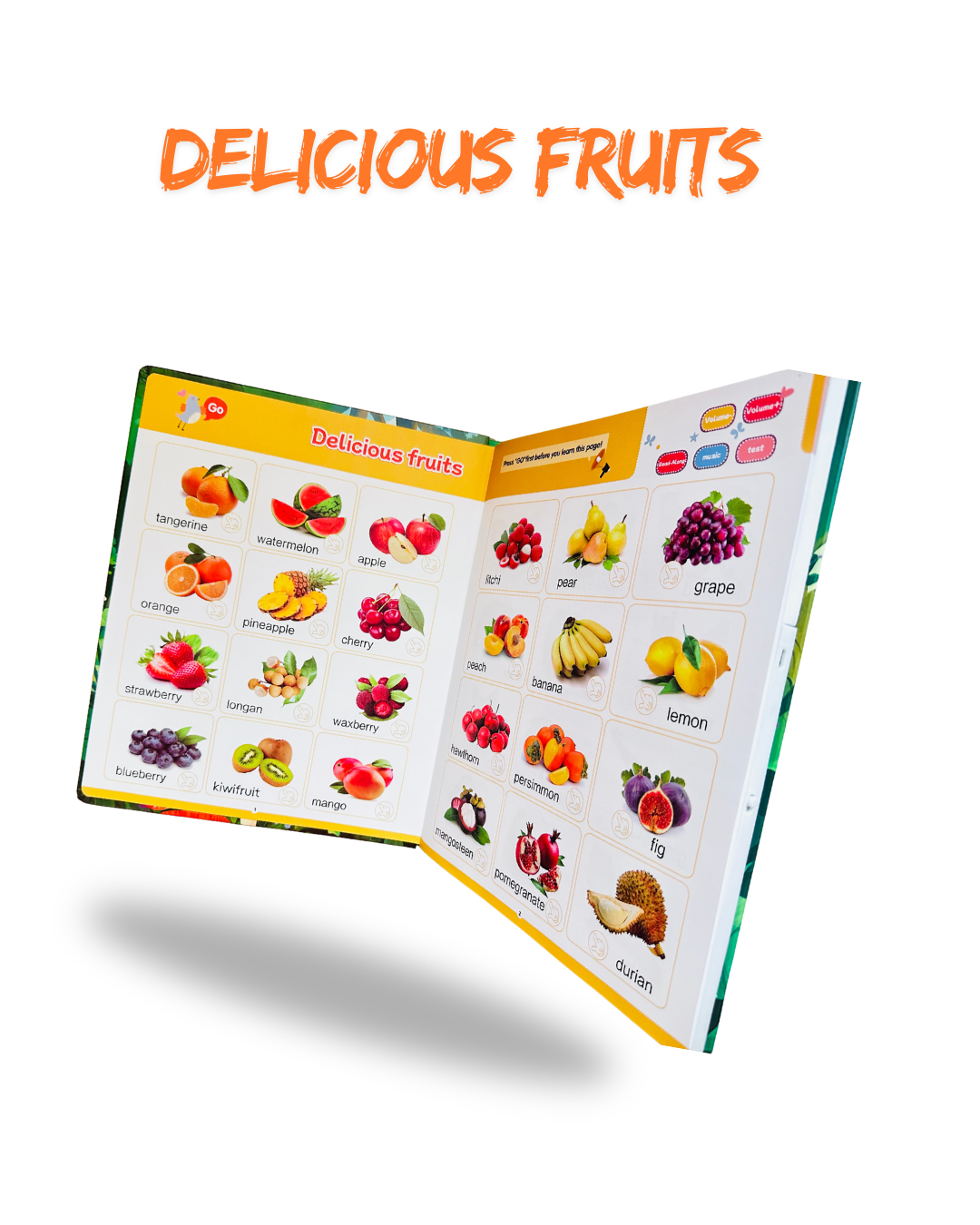 Enlightenment Rechargeable Talking Learning Book