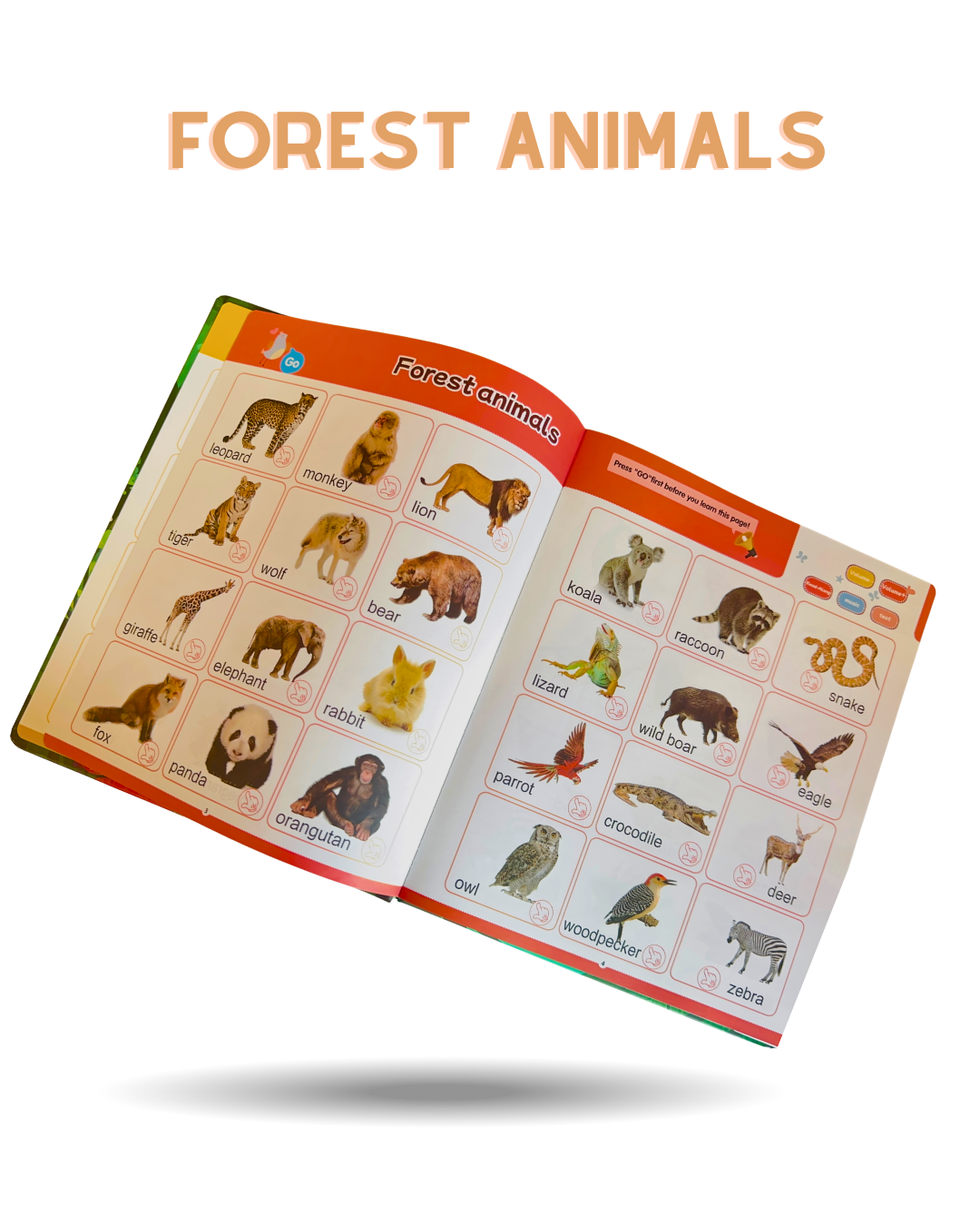 Enlightenment Rechargeable Talking Learning Book